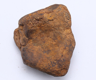 象類 脛骨遠端
