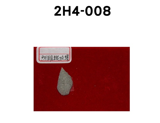 細雕織紋螺