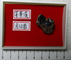 虎臼齒