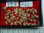 魚耳石