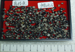 烏格魚齒