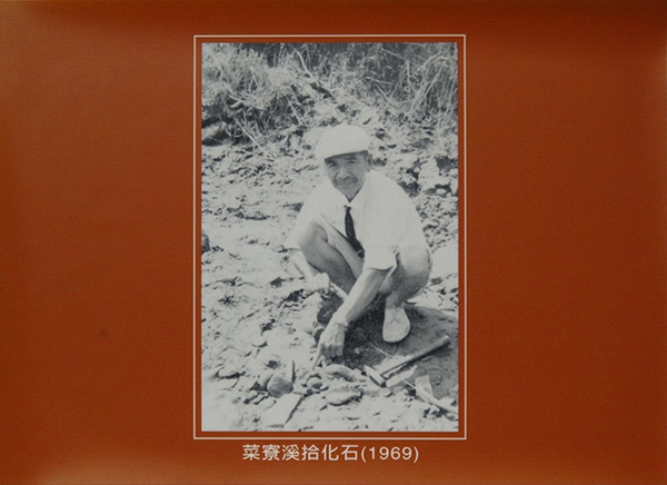 菜寮溪拾化石