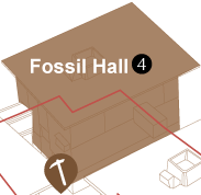 Fossil Hall