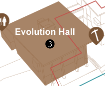 Evolution Hall