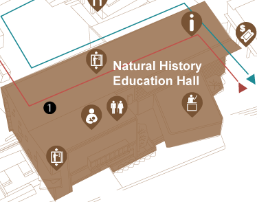 Natural History Education Hall